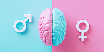 Foto: Illustration eines Gehirns, linke H&auml;lfte pink, daneben das Symbol f&uuml;r "m&auml;nnlich" auf blauem Hintergrund, rechts eine blaue Gehirnh&auml;lfte, daneben das Symbol f&uuml;r "weiblich" auf pinkem Hintergrund.