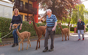 Foto: Bewohnerinnen und Bewohner eines Pflegebauernhofs laufen mit Alpakas eine Stra&szlig;e entlang.