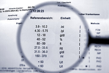 Das Foto zeigt die Werte einer Laboruntersuchung.