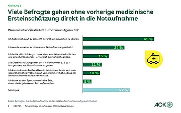 Das Balkendiagramm zeigt die Gründe für Personen, in die Notaufnahme zu gehen und die Prozentzahl.