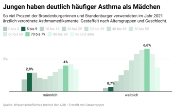 Jungen haben deutlich häufiger Asthma als Mädchen