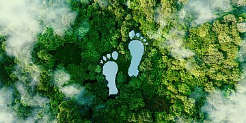 Foto: Über einem grünen Wald stehen zwei Fußabdrücke als Symbol.