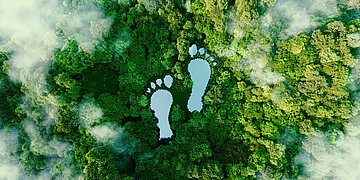Foto: &Uuml;ber einem gr&uuml;nen Wald stehen zwei Fu&szlig;abdr&uuml;cke als Symbol.