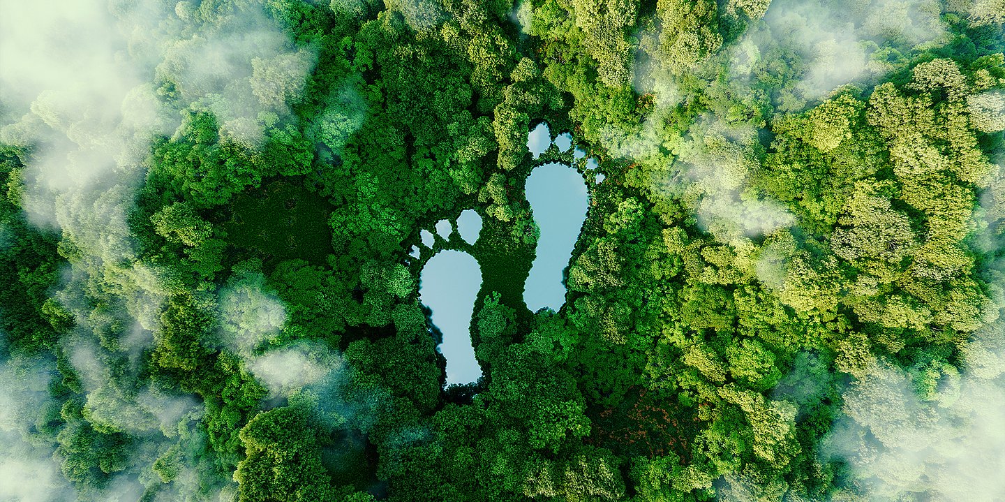Foto: Über einem grünen Wald stehen zwei Fußabdrücke als Symbol.