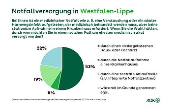 Ein Tortendiagramm zeigt, wie die Befragten bei medizinischen Notfällen behandelt werden möchten, die keine stationäre Aufnahme in einem Krankenhaus erfordern.