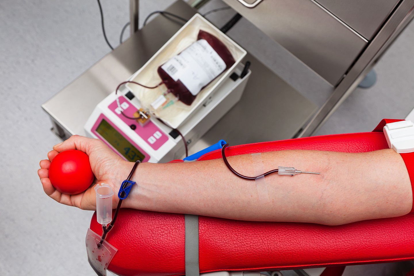 Einem Blutspender wird gerade aktive Blut entnommen, das in einen Beutel fließt, der unterhalb der Spenderposition positioniert ist. Der Arm des Spenders liegt auf einer roten Armstütze, die Hand hält einen roten  Ball zum Kneten, um den Blutfluss zu unterstützen.