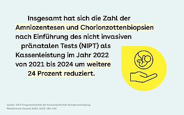 Das Bild informiert, dass sich die risikoreicheren  Schwangerschaftsuntersuchungen auf Trisomie, wie zum Beispiel Amniozentese und Chorionzottenbiopsie  von 2021 bis 2024 um weitere 24 Prozent reduziert haben.