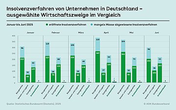 Krankenhausinsolvenz Im Balkendiagramm sind Insolvensverfahren dargestellt, aufgeteilt nach Branchen. Krankenhäuser stehen dabei gut dar und haben einen geringen Anteil, im Verhältnis zu Bau- oder Gastgewerbe.