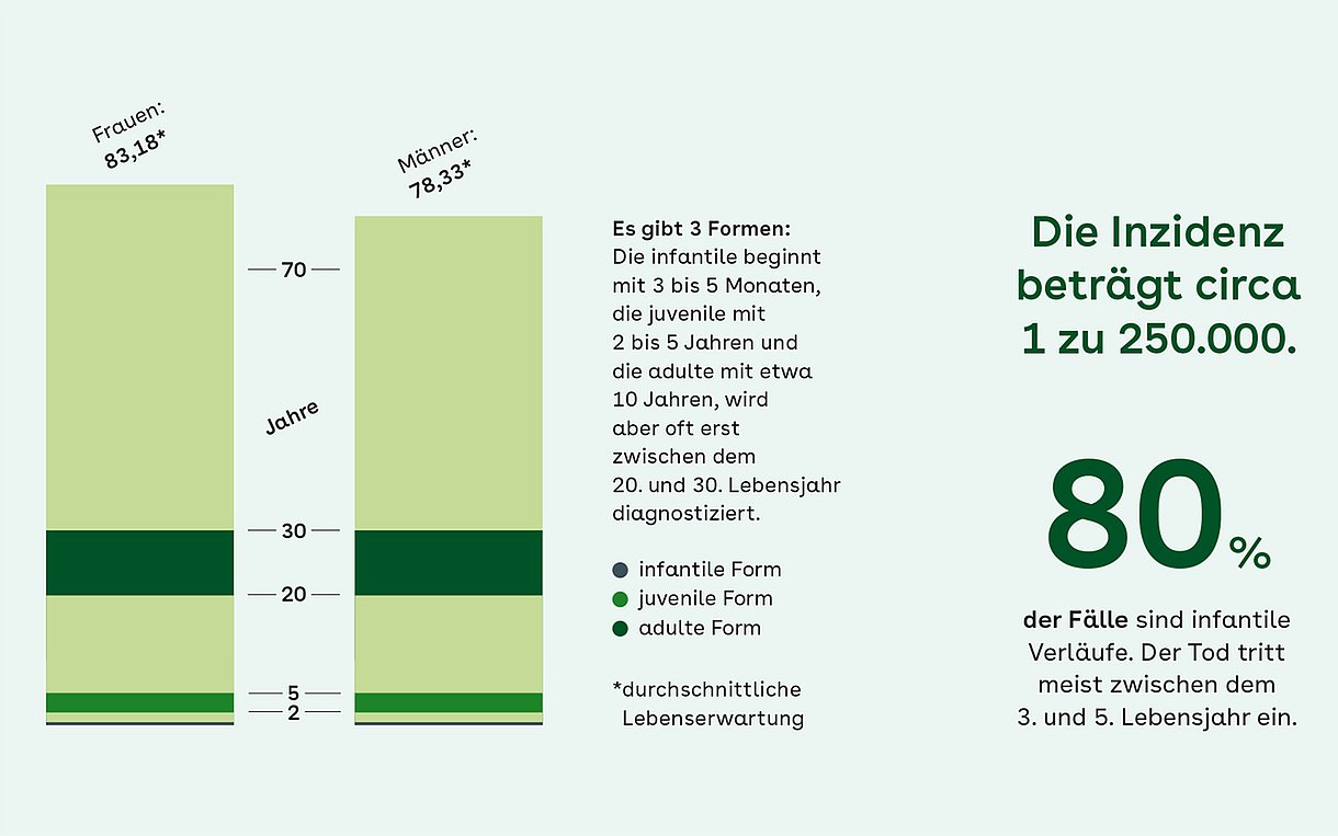 Säulengrafik: Hintergründe zu Morbus Tay-Sachs - Es gibt 3 Formen: Die infantile beginnt mit 3 bis 5 Monaten, die juvenile mit 2 bis 5 Jahren und die adulte mit etwa 10 Jahren, wird aber oft erst zwischen dem 20. und 30. Lebensjahr diagnostiziert.