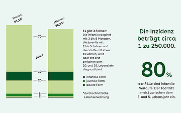 S&auml;ulengrafik: Hintergründe zu Morbus Tay-Sachs - Es gibt 3 Formen: Die infantile beginnt mit 3 bis 5 Monaten, die juvenile mit 2 bis 5 Jahren und die adulte mit etwa 10 Jahren, wird aber oft erst zwischen dem 20. und 30. Lebensjahr diagnostiziert.