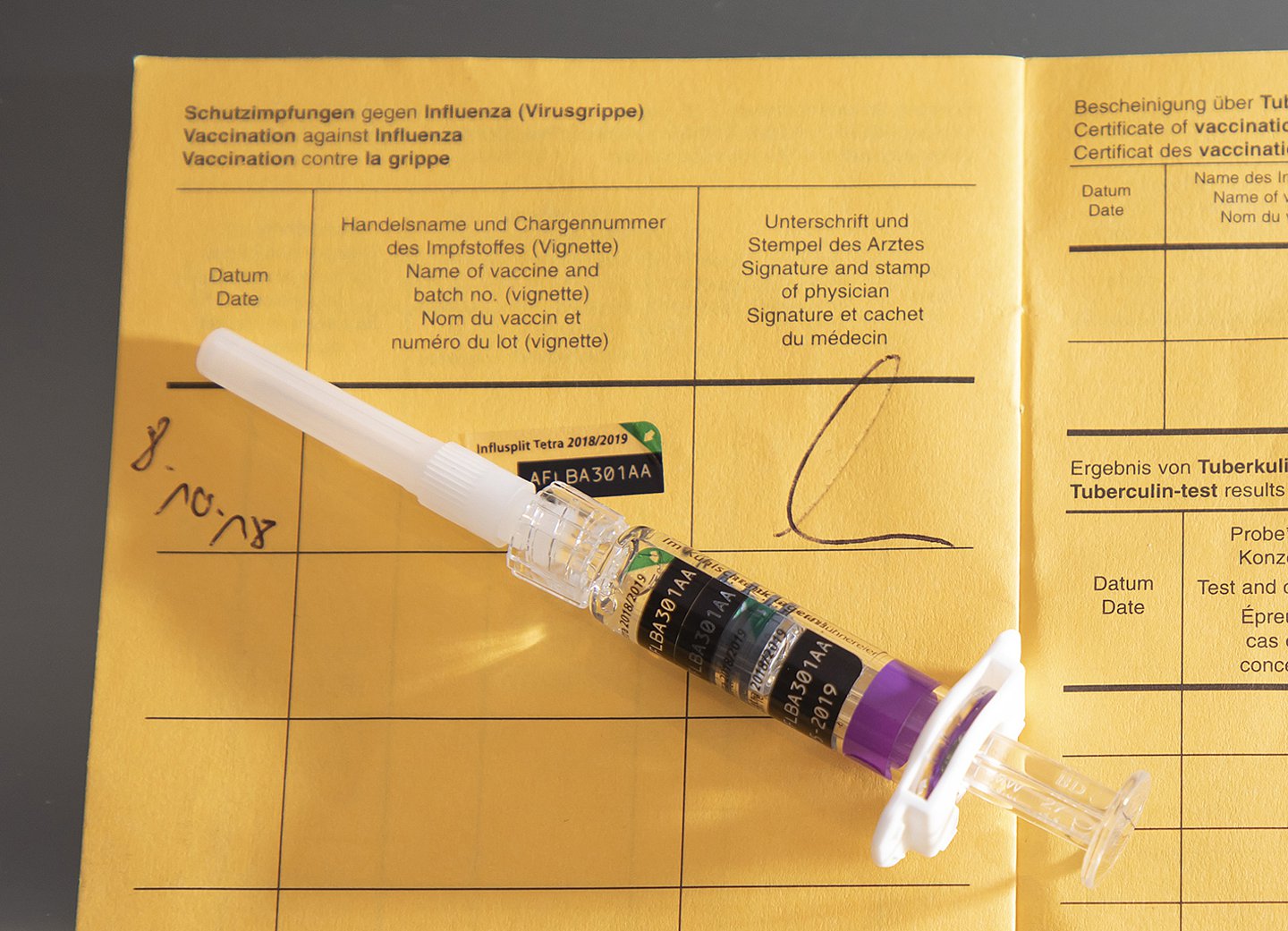  Foto: Eine Spritze liegt auf einem Impfpass. Es handelt sich um eine Grippeschutzimpfung.