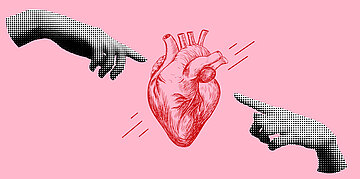 Illustration: Illustration eines anatomisch gezeichneten roten Herzens auf rosa Hintergrund. Zwei schwarz-wei&szlig;e, gerasterte H&auml;nde zeigen von links und rechts auf das Herz.