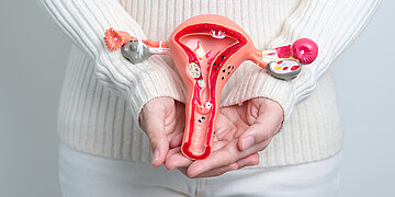 Foto: Ein Frauenhand h&auml;lt eine Organnachbildung einer Geb&auml;rmutter vor ihren Unterbauch.