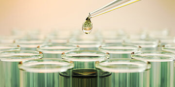 Foto: Nahaufnahme einer Pipette mit einem klaren Fl&uuml;ssigkeitstropfen &uuml;ber mehreren mit gr&uuml;ner Fl&uuml;ssigkeit gef&uuml;llten Reagenzgl&auml;sern.