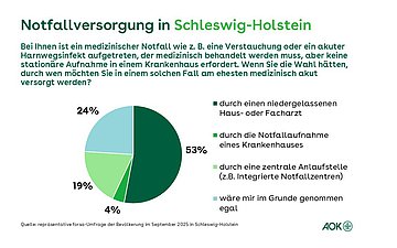 Ein Tortendiagramm zeigt, wie die Befragten bei medizinischen Notfällen behandelt werden möchten, die keine stationäre Aufnahme in einem Krankenhaus erfordern.
