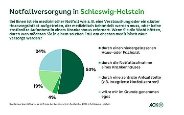 Ein Tortendiagramm zeigt, wie die Befragten bei medizinischen Notf&auml;llen behandelt werden m&ouml;chten, die keine station&auml;re Aufnahme in einem Krankenhaus erfordern.