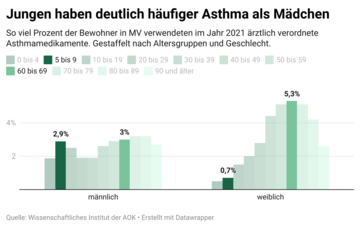 Jungen haben deutlich häufiger Asthma als Mädchen