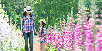 Eine Frau und ein Kind gehen Hand in Hand durch einen bl&uuml;henden Garten mit rosa und wei&szlig;en Fingerhut-Blumen.