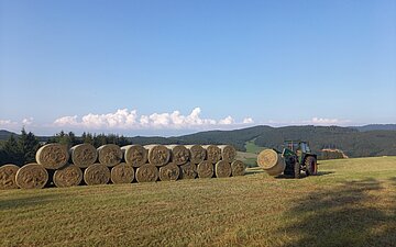 Ein Traktor ordnet Heuballen auf einem abgem&auml;hten Feld an.