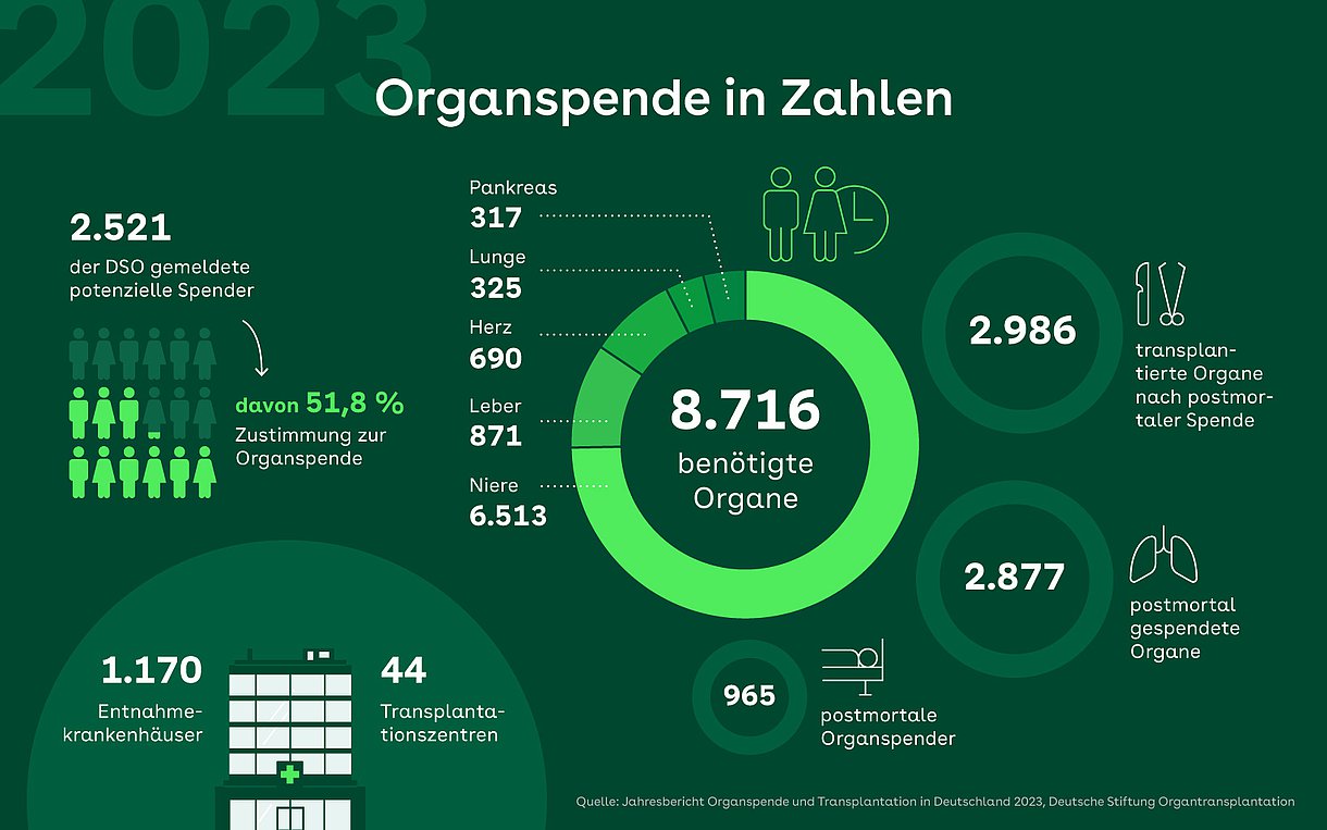 Grafik: Zahlen zur Organspende