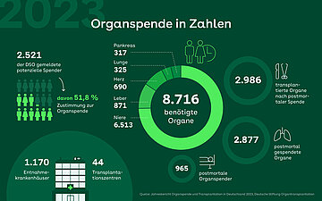 Grafik: Zahlen zur Organspende