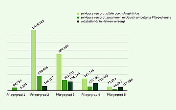 Wie viele Pflegebed&uuml;rftige welche Pflegegrade haben J&uuml;ngste Zahlen des Statistischen Bundesamtes zeigen: Von den rund f&uuml;nf Millionen pflegebed&uuml;rftigen Menschen hat die Mehrheit Pflegegrad 2 und 3.