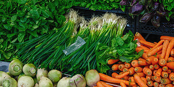 Nahaufnahme von verschiedenem Gem&uuml;se und Salat