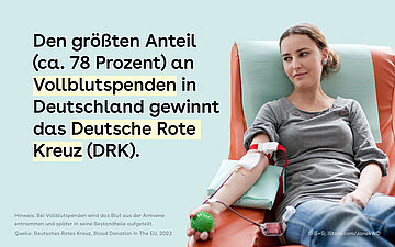 Links im Bild ist der Text eingef&uuml;gt. Rechts daneben sitzt eine Frau in einem roten Sessel, dr&uuml;ckt auf einen Igelball und spendet dabei Blut.