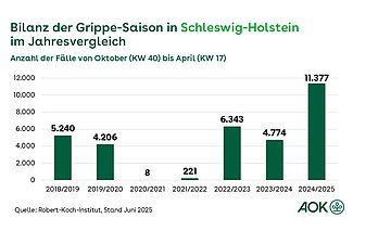 Ein Säulendiagramm zeigt die Bilanz der Grippesaison in Schleswig-Holstein von der Grippesaison 2018/2019 bis 2024/2025.