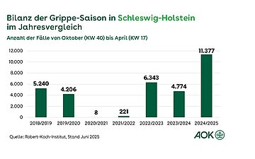 Ein S&auml;ulendiagramm zeigt die Bilanz der Grippesaison in Schleswig-Holstein von der Grippesaison 2018/2019 bis 2024/2025.