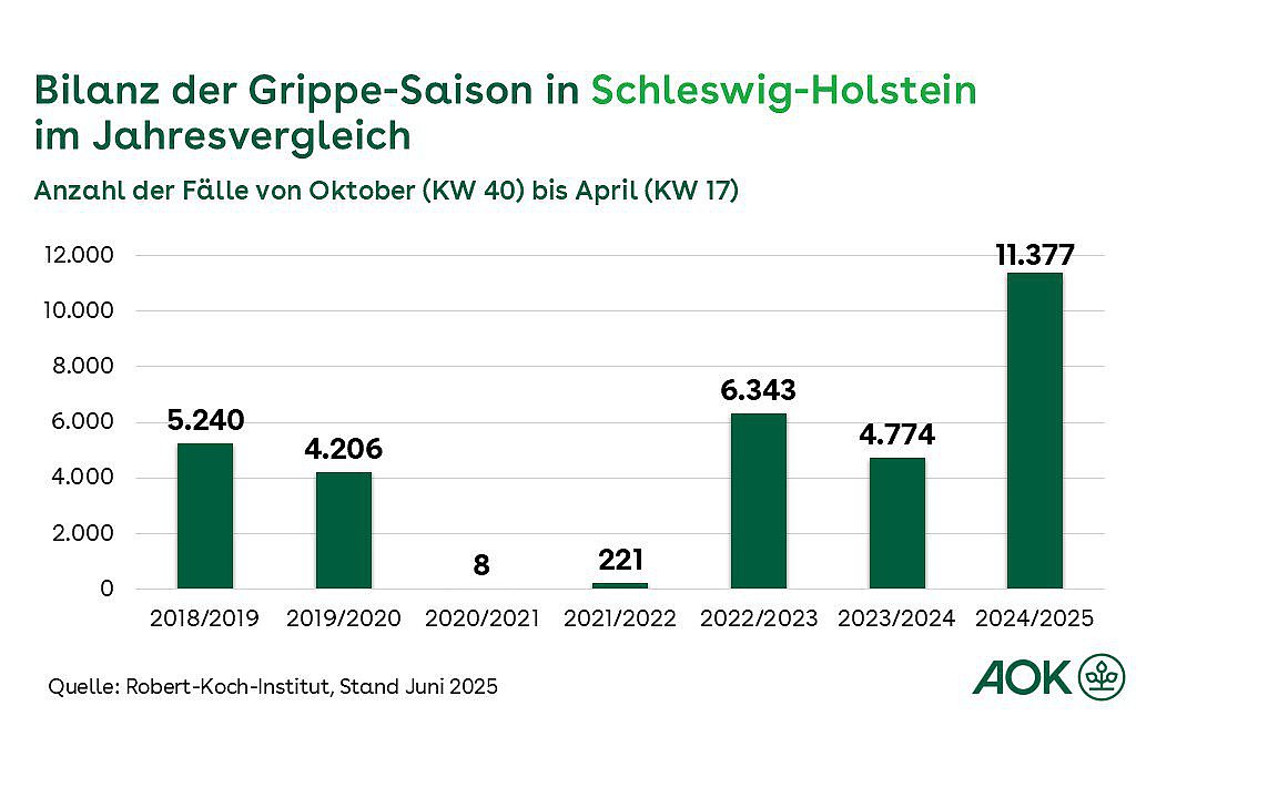 Ein Säulendiagramm zeigt die Bilanz der Grippesaison in Schleswig-Holstein von der Grippesaison 2018/2019 bis 2024/2025.