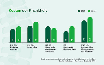 Ein Balkendiagramm, welches die Kostenh&ouml;he verschiedener Krankheiten mit der von R&uuml;ckenkrankheiten vergleicht.