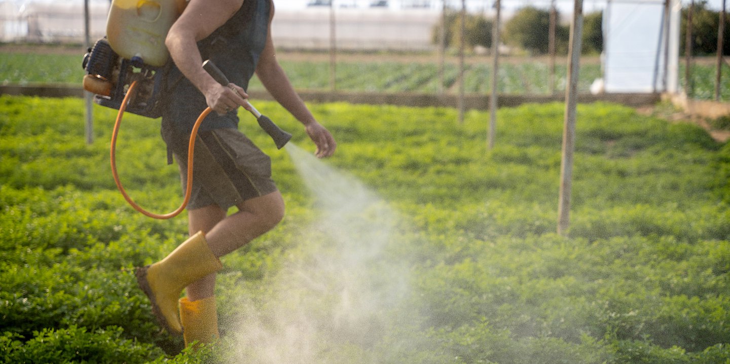 Foto: Ein Mann ohne Schutzkleidung versprüht Pestizide auf einer Wiese.