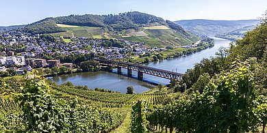 Landschaft Rheinland/Pfalz-Saarland
