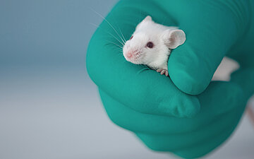 Foto: Eine Hand mit einem gr&uuml;nen Einmalhandschuh h&auml;lt eine Maus. 