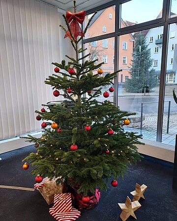 Ein geschm&uuml;ckter Nadelbaum, unter dem Geschenke liegen, steht vor einem Fenster.