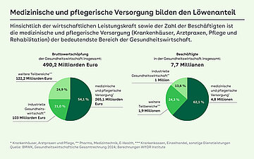 Hinsichtlich der wirtschaftlichen Leistungskraft sowie der Zahl der Besch&auml;ftigen ist die medizinische und pflegerische Versorgung (Krankenh&auml;user, Arztpraxen, Pflege und Rehabilitation) der bedeutendste Bereich der Gesundheitswirtschaft.