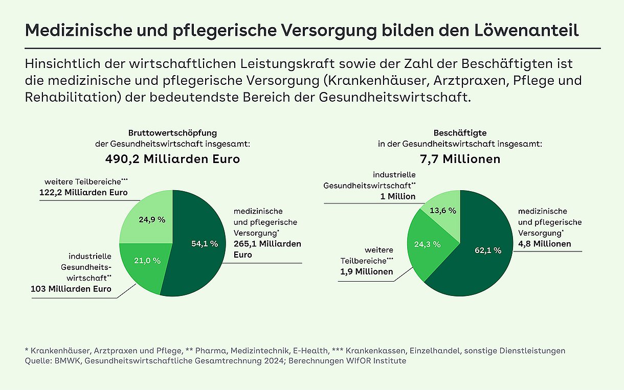 Hinsichtlich der wirtschaftlichen Leistungskraft sowie der Zahl der Beschäftigen ist die medizinische und pflegerische Versorgung (Krankenhäuser, Arztpraxen, Pflege und Rehabilitation) der bedeutendste Bereich der Gesundheitswirtschaft.