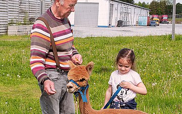 Leben auf einem Pflegebauernhof  Foto: Ein älterer Mann, Mitbewohner eines Pflegebauernhofs, steht mit einem Kind und einem Alpaka auf der Wiese.