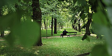 Foto: Ältere weibliche Person von hinten aufgenommen auf einer Bank in einem grünen Park.