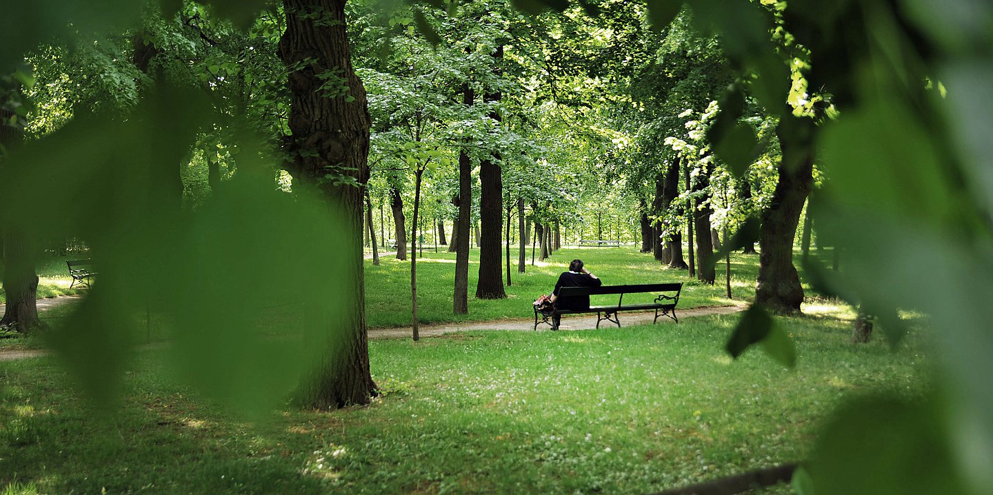 Foto: Ältere weibliche Person von hinten aufgenommen auf einer Bank in einem grünen Park.