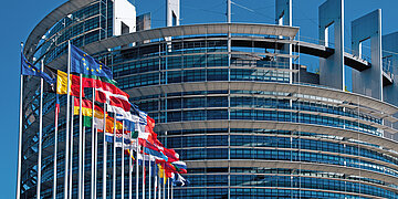 Flaggen der EU-Staaten vor dem Geb&auml;ude des EU-Parlaments in Stra&szlig;burg