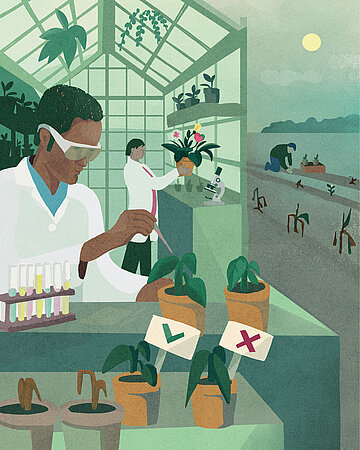 Eine Illustration zeigt Forschende im Gew&auml;chshaus, die Pflanzen untersuchen und im Labor gesunde und gesch&auml;digte Exemplare vergleichen.