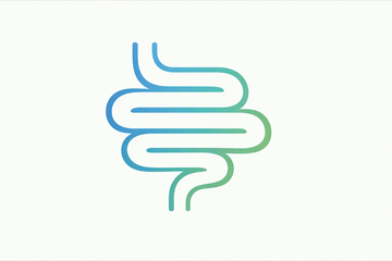 Eine stark stilisierte Darstellung eines menschlichen Darms.