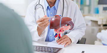 Ein Arzt im wei&szlig;en Kittel erkl&auml;rt w&auml;hrend einer medizinischen Beratung einem Patienten ein anatomisches Modell von Leber und Bauchspeicheldr&uuml;se und zeigt dabei mit einem Stift auf die Leber.