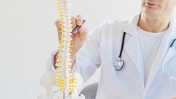 AOK-Gesundheitsatlas Osteoporose in Westfalen-Lippe Ein Arzt zeigt mit einem Stift auf einzelne Wirbel bei einem Wirbelsäulenmodell in Nahaufnahme.