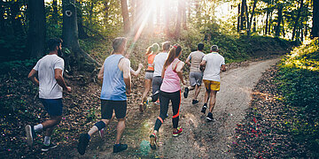 Gruppe von L&auml;uferinnen und L&auml;ufern joggt bei Sonnenlicht auf einem Waldweg.