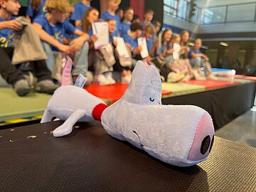 Das ist der (innere) Schweinehund. Mit ihm haben die Jugendlichen, die sich zu Sporthelferinnen und Sporthelfern ausbilden lassen, keine Probleme.