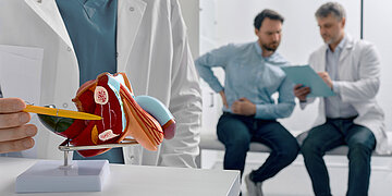 Foto zeigt im Vorsergrund das Modell des m&auml;nnlichen Geschlechtsbreich. Eine Person mit wei&szlig;em Kittel deutet auf die Prostata oberhalb der Hoden. Im Hintergrund sitzen ein Patient (links) und ein Arzt auf einer Behandlungsbank. Der Arzt erkl&auml;rt dem Mann etwas.