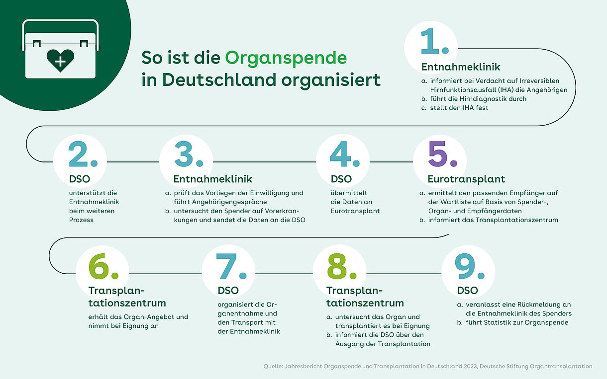 Grafik: Dargestellt sind die 9 Schritte einer Organspende